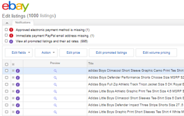 How to check for item level errors on eBay directly